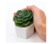 Planta suculenta artificiala in ghiveci F419-308-12 Pami Flower 5x6.5 cm Verde thumbnail 2