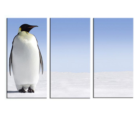 Set tablou DualView Startonight Pinguin, luminos in intuneric, 60 x 90 cm