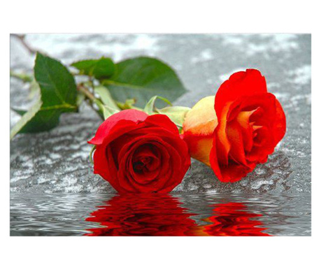 Tablou Startonight pe sticla acrilica Trandafiri Rosii, luminos in intuneric, 60 cm x 40 cm