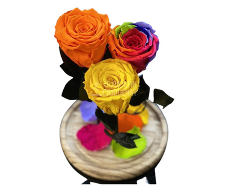 3 Trandafiri portocaliu, multicolor, galben Ø6,5cm 17x28cm