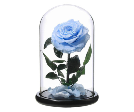 Trandafir Criogenat bleu xxl Ø9,5cm in cupola sticla 17x28cm