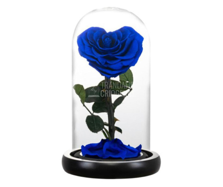 Trandafir Criogenat albastru inima Ø8cm in cupola 10x20cm