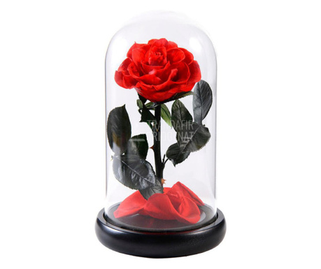 Trandafir Criogenat rosu mare Ø9,5cm in cupola sticla 12x25cm
