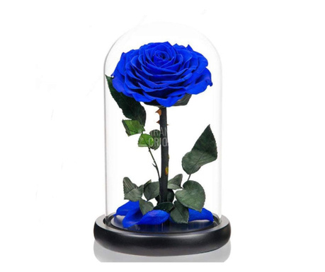 Trandafir Criogenat albastru bonita Ø9,5cm in cupola 12x25cm