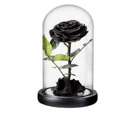 Trandafir Criogenat negru Ø9,5cm in cupola de sticla 17x28cm