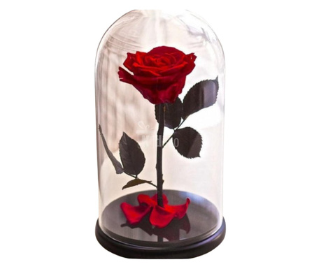 Trandafir Criogenat rosu XL Ø6,5cm in cupola sticla 10x20cm
