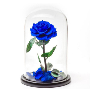 Trandafir Criogenat albastru bonita Ø9,5cm, cupola 17x28cm