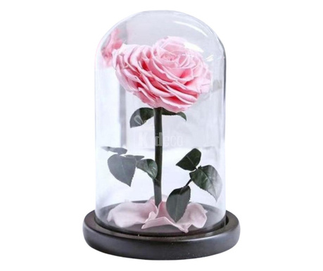 Trandafir Criogenat inima roz Ø9cm in cupola sticla 17x28cm