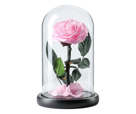 Trandafir Criogenat roz bella Ø8cm in cupola sticla 12x25cm