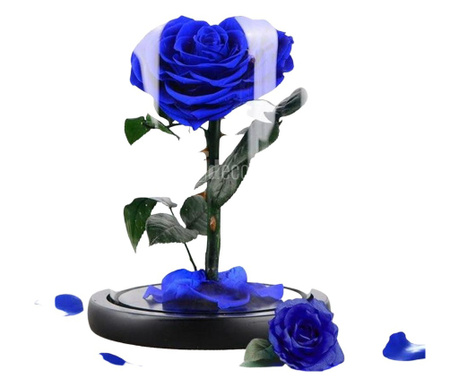 Trandafir Criogenat inima albastra Ø9cm, cupola 17x28cm