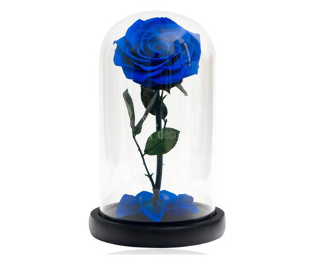 Trandafir Criogenat albastru bella Ø8cm in cupola 10x20cm