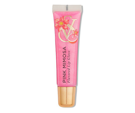 Lip Gloss, Flavored Pink Mimosa, Victoria's Secret, 13 ml