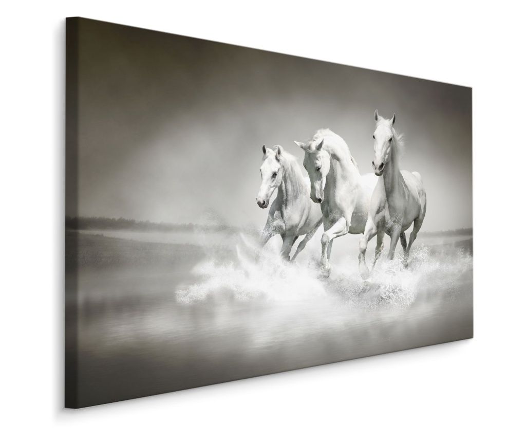 Black and White Horses Galloping Hallway Canvas Print 120x80cm