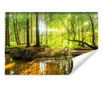 Fotótapéta nappali, Erdőhöz, Fákhoz, 3D folyóhoz Fák, Könnyen tisztítható, Modern kivit 135x90cm