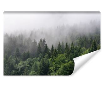 Fotótapéta Ködös Erdő, Tájkép, Fák, Hegyek és Dombok Vlies, Kreatív dekoráció, Divatos 360x240cm