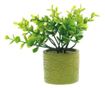 Plante artificiale in ghiveci din ceramic PAMI, F1021-40, 8x15cm Model B thumbnail 2