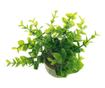 Plante artificiale in ghiveci din ceramic PAMI, F1021-40, 8x15cm Model B thumbnail 4