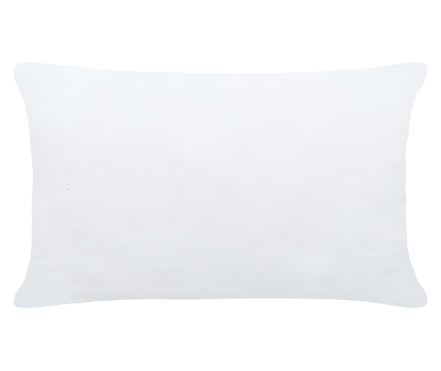 Punjenja za jastuke 2 kom 60 x 40 cm bijela