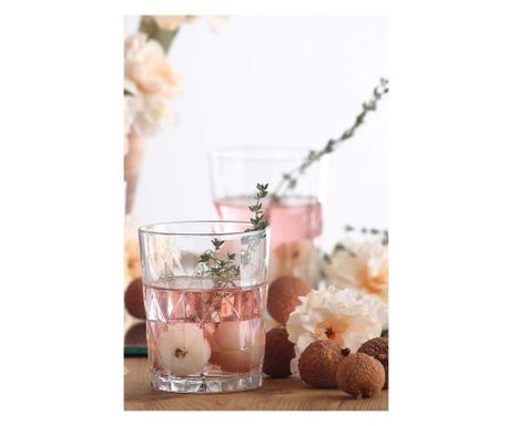 Set 6 čaša Lav