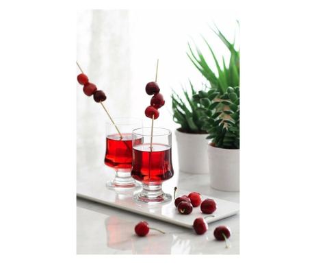 Set 6 čaša Lav