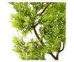 Umjetni bonsai čempres s loncem, zelen, 60 cm thumbnail 4