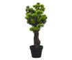 Umjetni bonsai Pinus s loncem, zelen, 70 cm thumbnail 3