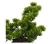 Umjetni bonsai Pinus s loncem, zelen, 70 cm thumbnail 4