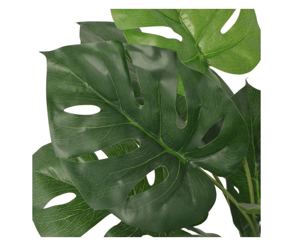 lonicera heckrottii goldflame standort Lonicera × heckrottii 'Gold Flame' – Geißblatt mit kontinuierlicher Bl –  Secret Garden Plant Shop
