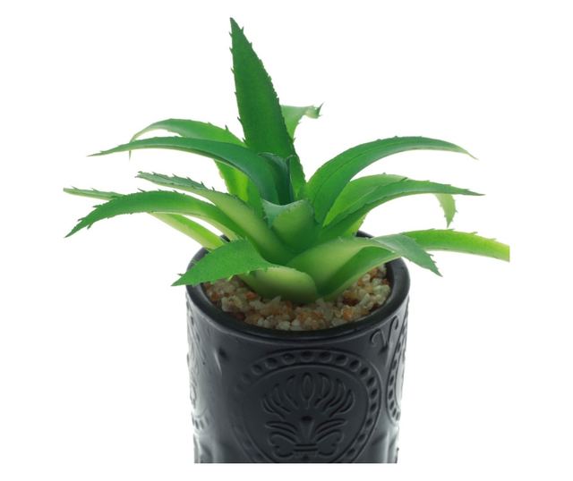 PAMI Artificial Succulent in Ceramic Pot, F1021-42, 6x15cm Model B