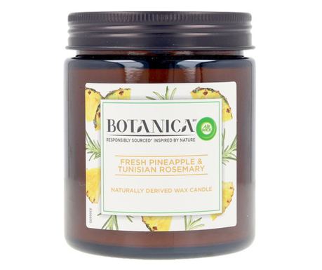 Ароматизирана Свещ Botanica Pineapple & Tunisian Rosemary Air Wick (205 g)