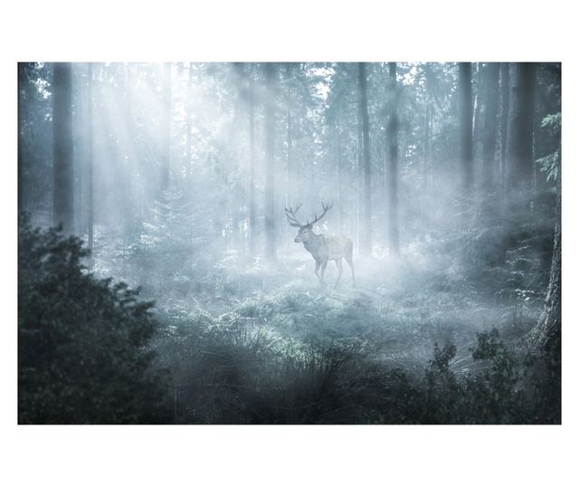 Fotótapéta a Nappaliba Erdő Ködben SZARVAS 3D 300x210cm