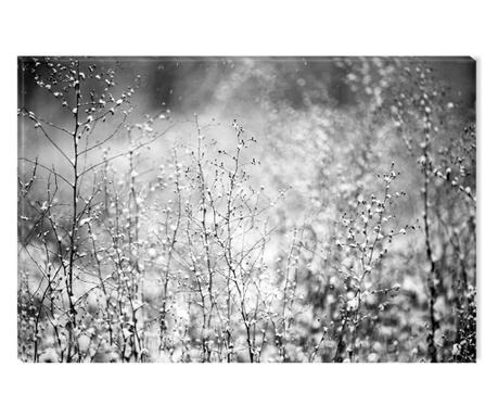 Tablou Alb-Negru Abstract Startonight, Natura matinala, luminos in intuneric, 80 x 120 cm