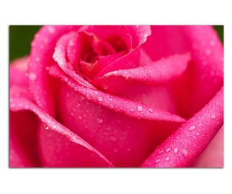 Tablou Startonight pe sticla acrilica Trandafir Roz, luminos in intuneric, 60 cm x 40 cm