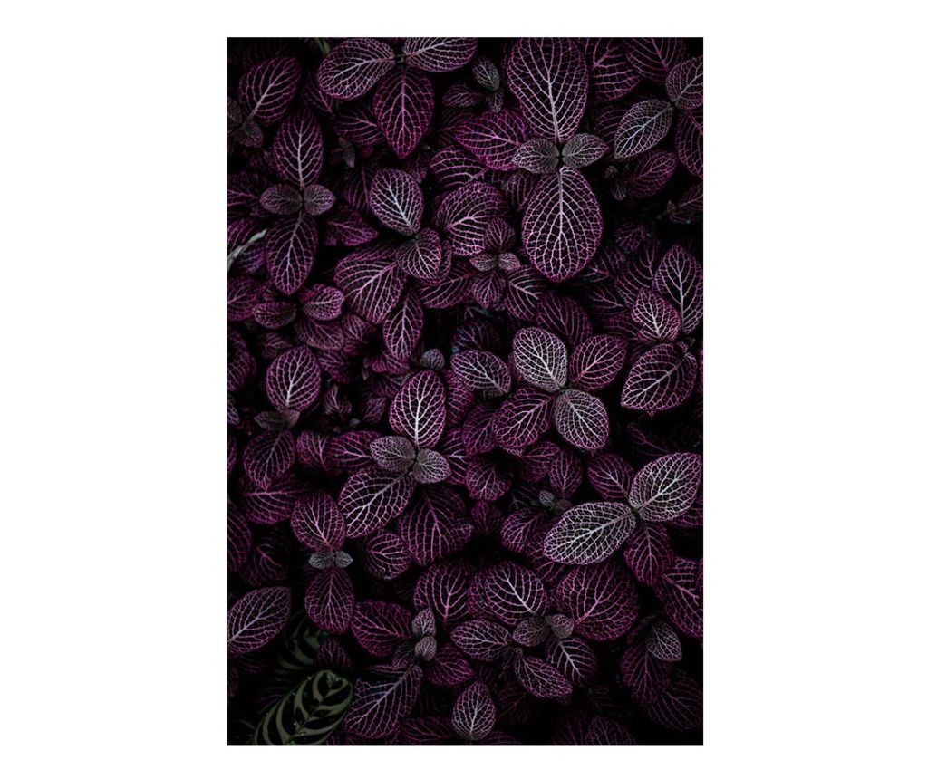 Vászonnyomat, Purple Leaves, 70x100cm