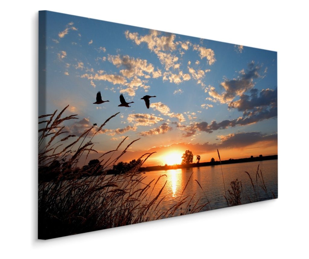 Canvas Print for Living Room Birds LANDSCAPE Sunset 3D