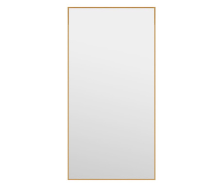 Oglindă pentru ușă, auriu, 30x60 cm, sticlă și aluminiu