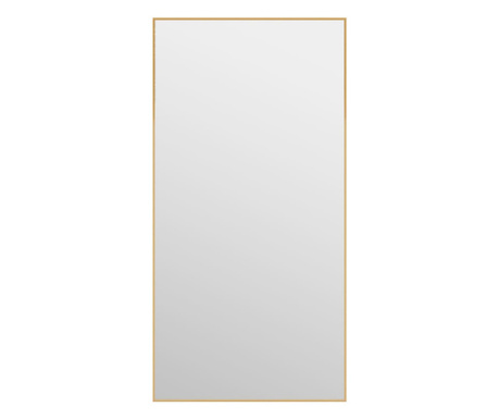 Огледало за врата, златисто, 40x80 см, стъкло и алуминий