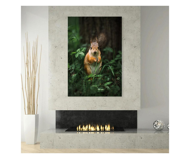 Картина на платно, Squirrel, 30x50cm