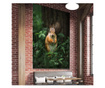 Картина на платно, Squirrel, 50x70cm