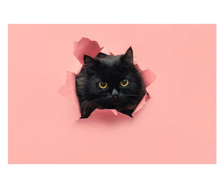 Slika, Black Cat, 80x120cm