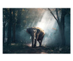 Картина на платно, Wild Elephant, 20x30cm