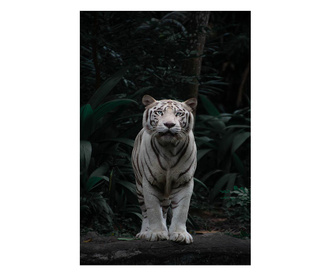 Картина на платно, White Tiger, 30x50cm