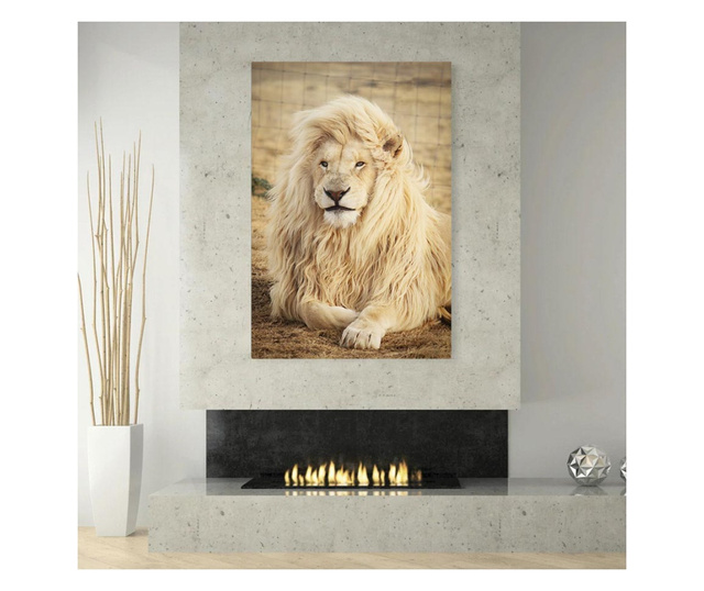Картина на платно, White Lion, 50x70cm