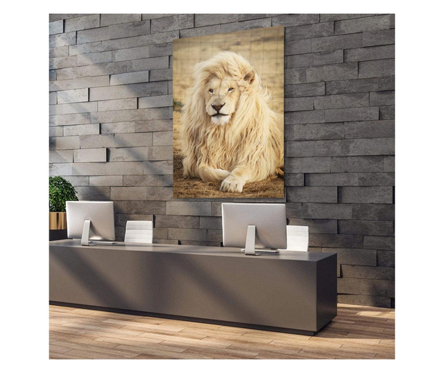Картина на платно, White Lion, 50x70cm