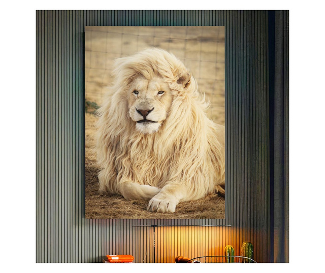Картина на платно, White Lion, 70x100cm