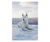 Картина на платно, White Husky, 20x30cm