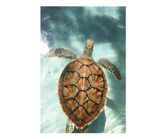 Картина на платно, Water Tortoise, 70x100cm