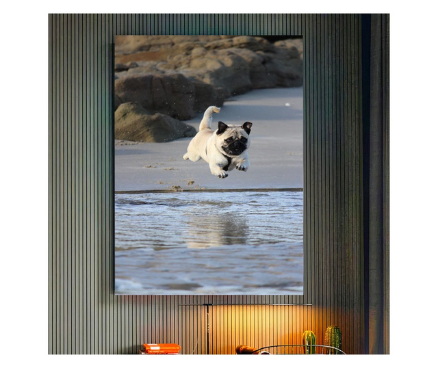 Картина на платно, Water Pug, 20x30cm