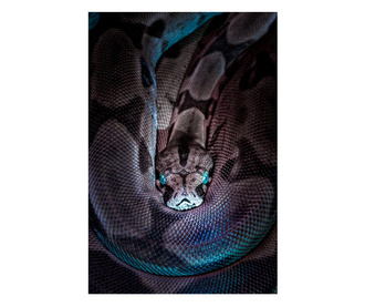 Картина на платно, Vibrant Snake, 30x50cm