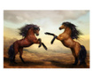 Картина на платно, Two Horses, 50x70cm